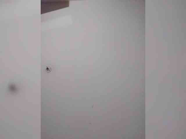sarafoxxx webcam