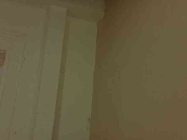 Alexa-5a webcam