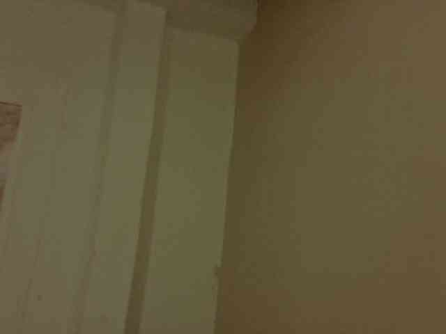 Alexa-5a webcam