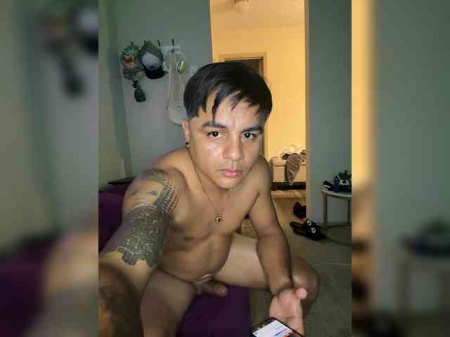 Modelo: Lioners8