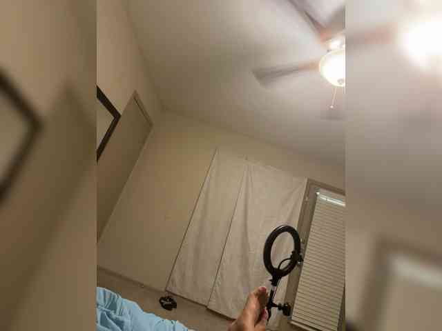 Lioners8 webcam