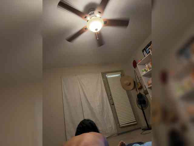 Lioners8 webcam
