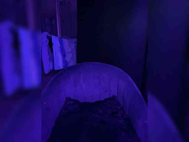 klinara webcam