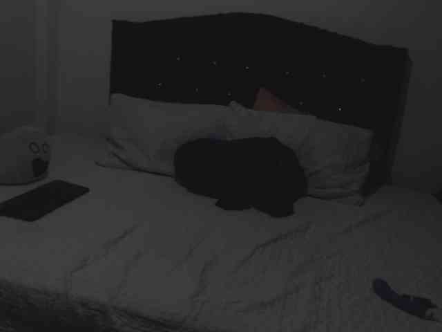 ninnaballak webcam