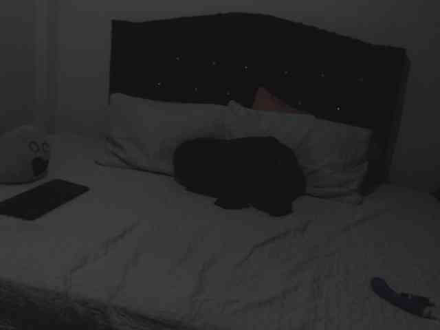 ninnaballak webcam