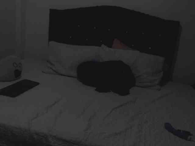 ninnaballak webcam