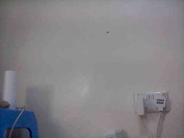 Ebonysly webcam
