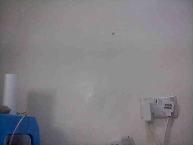 Ebonysly webcam
