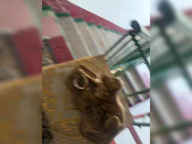 Asyaivasya webcam