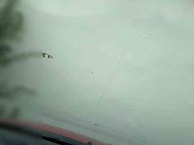 Asyaivasya Sex Cam Show
