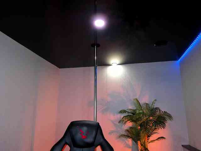 SamuraHix webcam