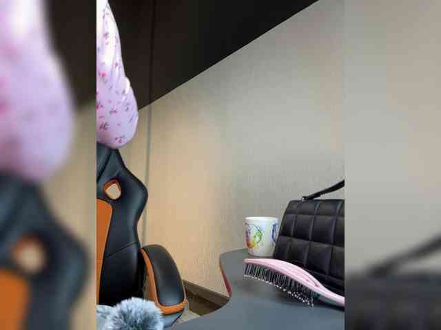 SamuraHix webcam