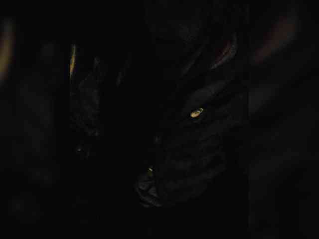 Kaspars39