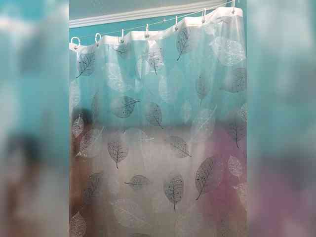 Dianesi webcam