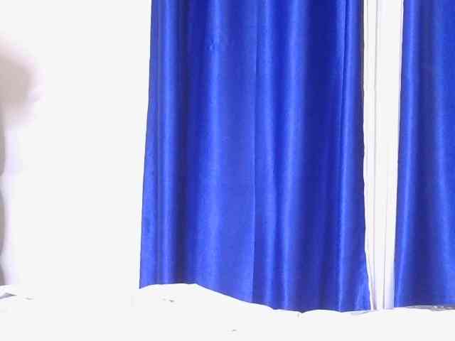 CurvyBody webcam