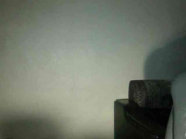Mabel-Shelly webcam