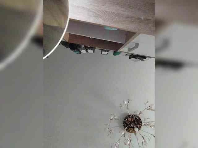 Mabel-Shelly webcam