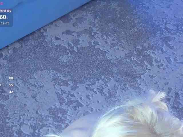 pipipewpewpipiu webcam