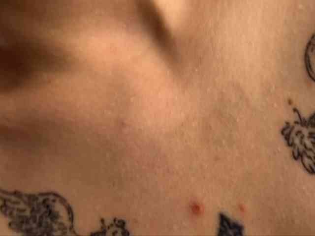 pipipewpewpipiu webcam