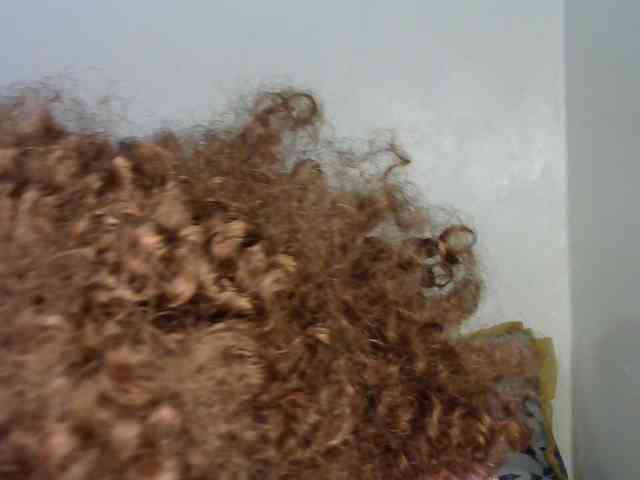 Truegirl2 webcam