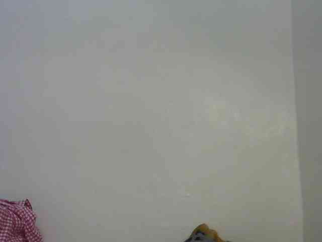 Truegirl2 webcam
