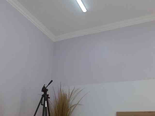 Kimaralion webcam