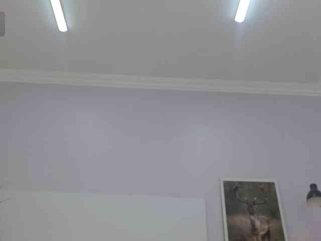 Kimaralion webcam