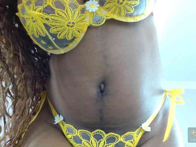 Modelo: Kimaralion