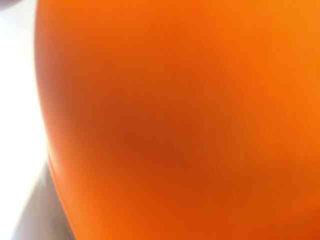 Kimaralion webcam
