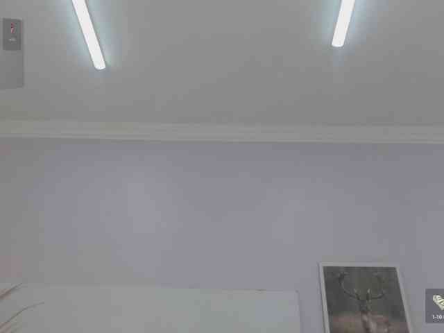 Kimaralion webcam