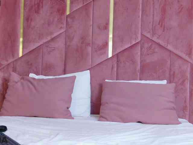 AlmaDelight webcam