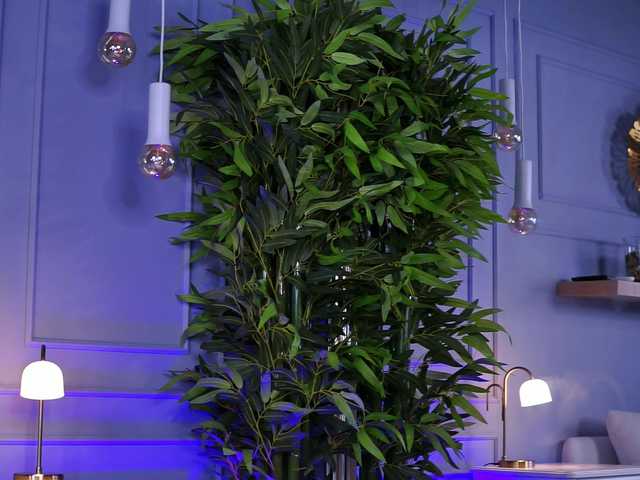 EvieVooss