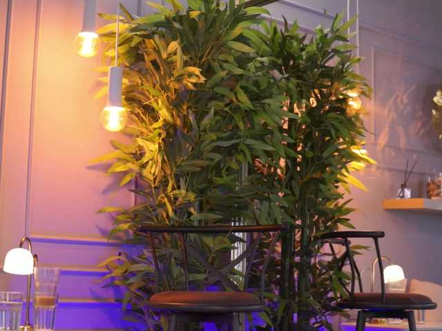 EvieVooss