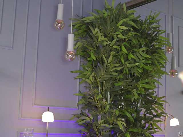 EvieVooss live cam on BongaCams