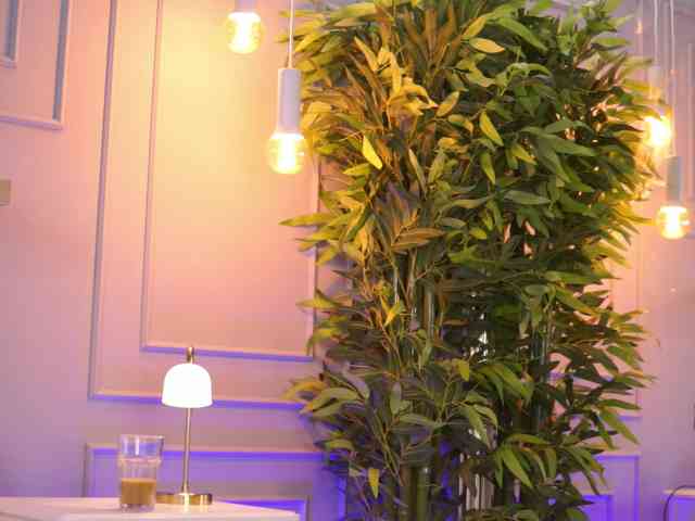 EvieVooss