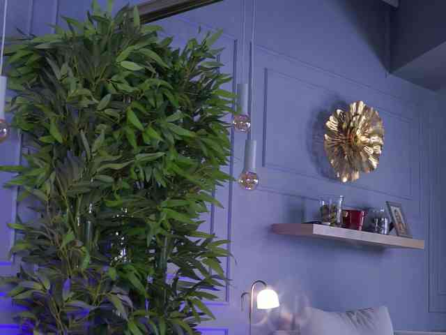 EvieVooss