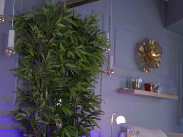 EvieVooss