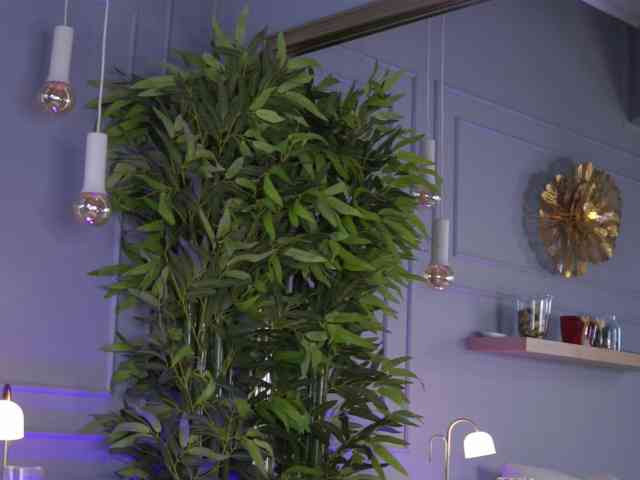 EvieVooss