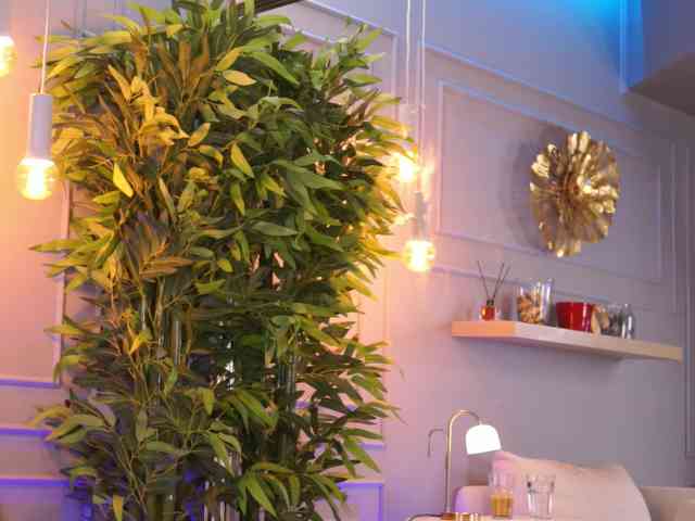 EvieVooss