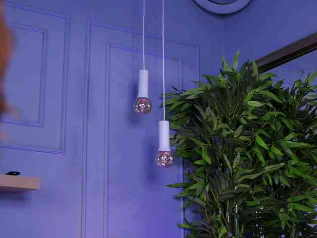 EvieVooss EvieVooss