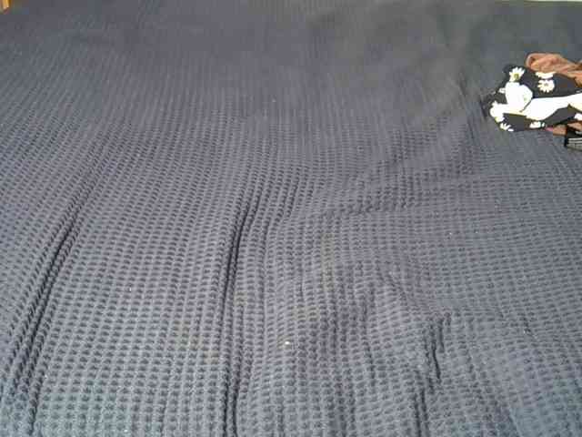 Sherry22 webcam