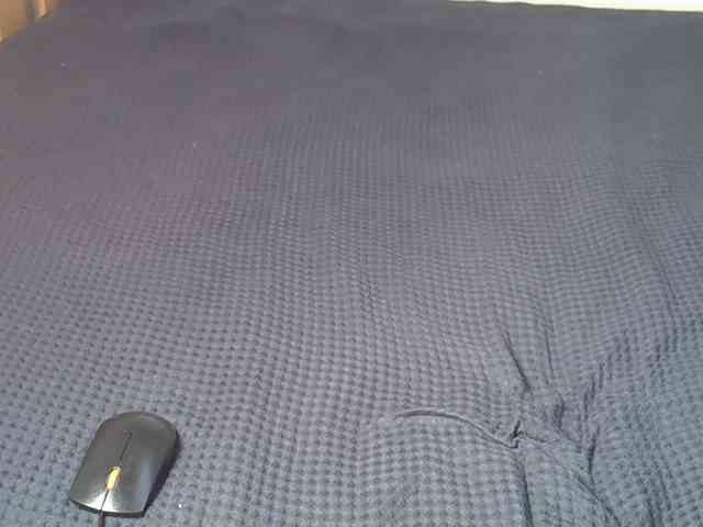 Sherry22 webcam