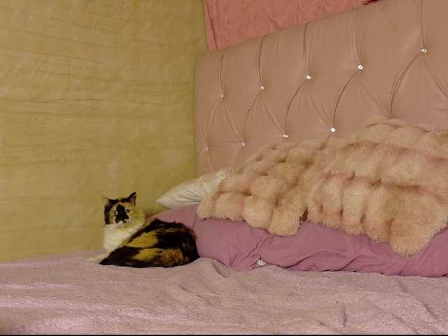 ManuMeow live cam