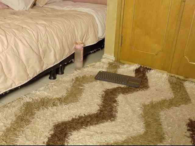 ManuMeow webcam