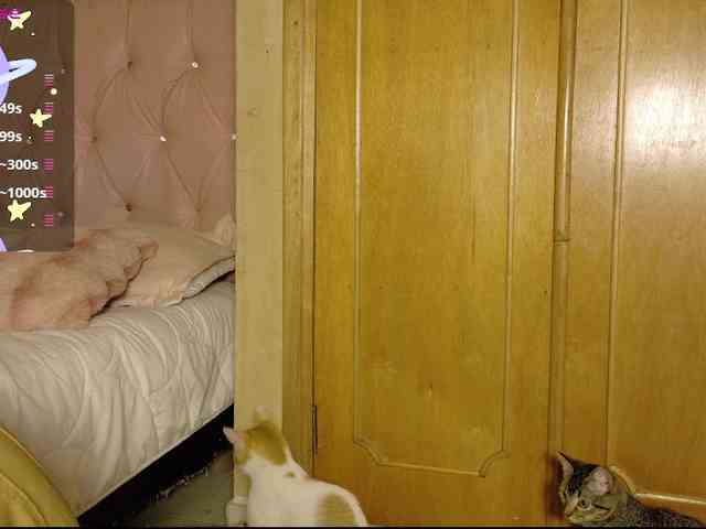 ManuMeow