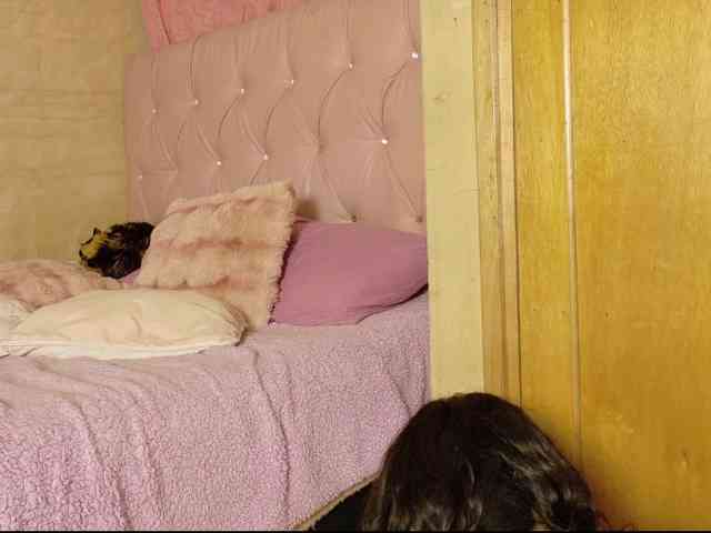 ManuMeow webcam