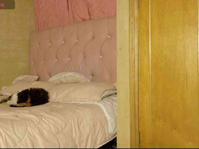 ManuMeow webcam