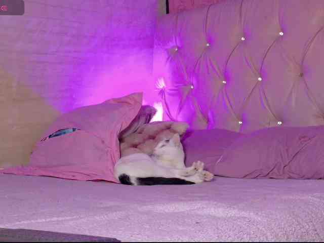 ManuMeow webcam