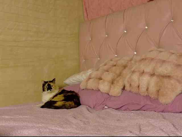 ManuMeow