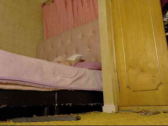ManuMeow webcam